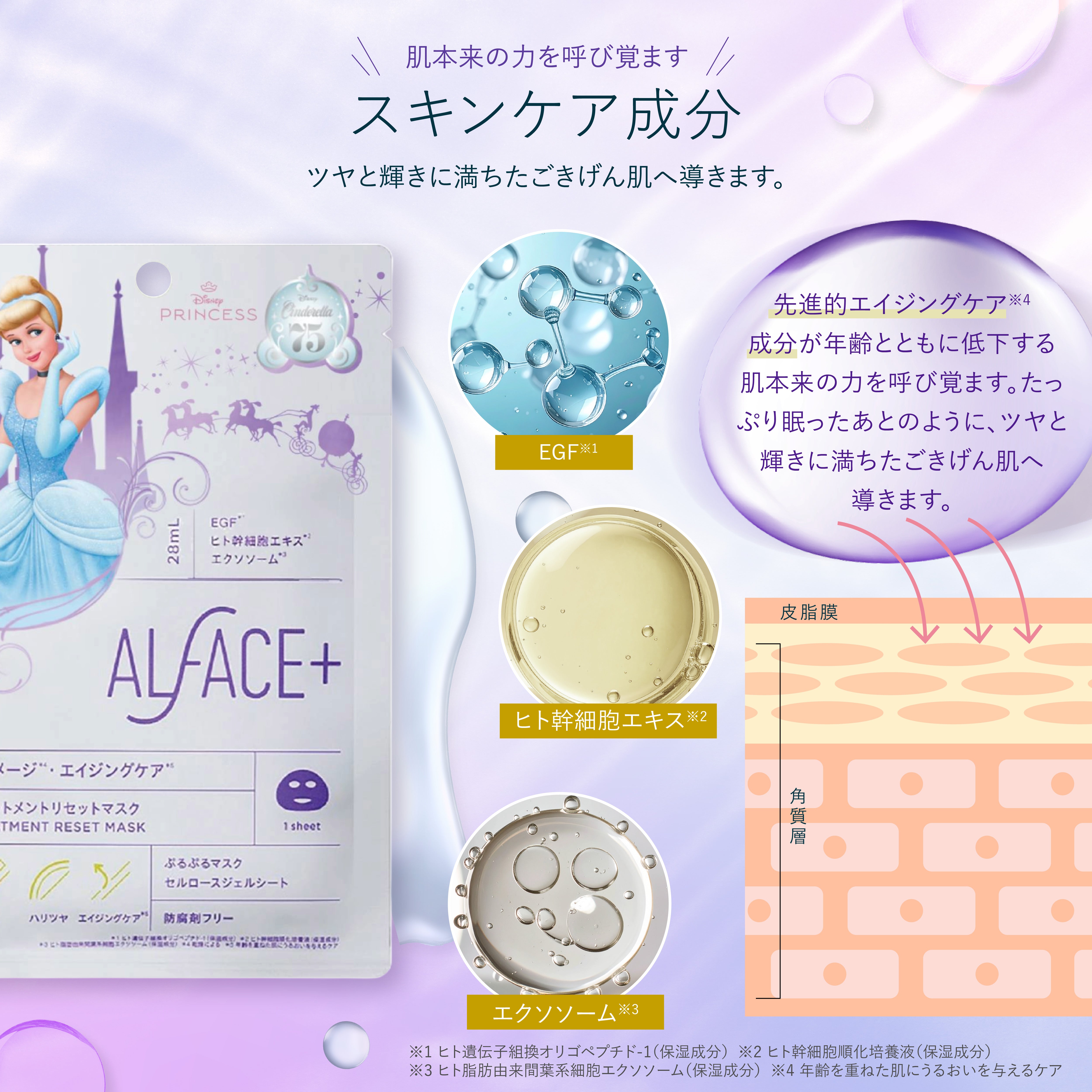 TREATMENT RESET MASK (シンデレラデザイン)