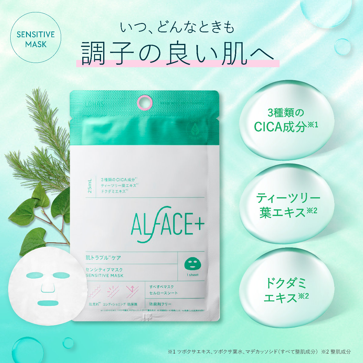 オルフェスサマーギフトセット（全11枚入り）